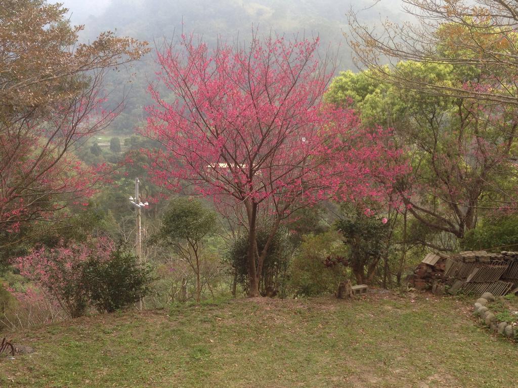牛奶森林 柏竺山莊bozhu Villa Sanyi Exterior photo